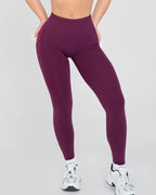 Evolve Nahtlose Leggings